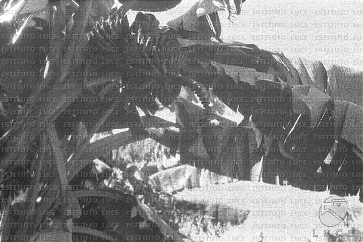 AO/AO062/AO00004161.JPG