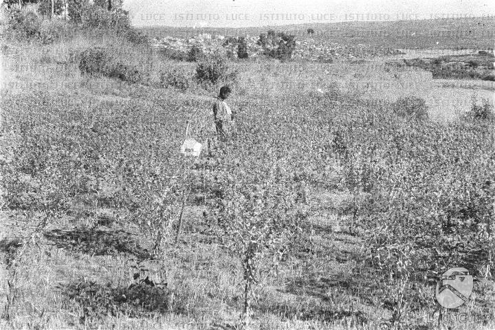 AO/AO062/AO00004193.JPG