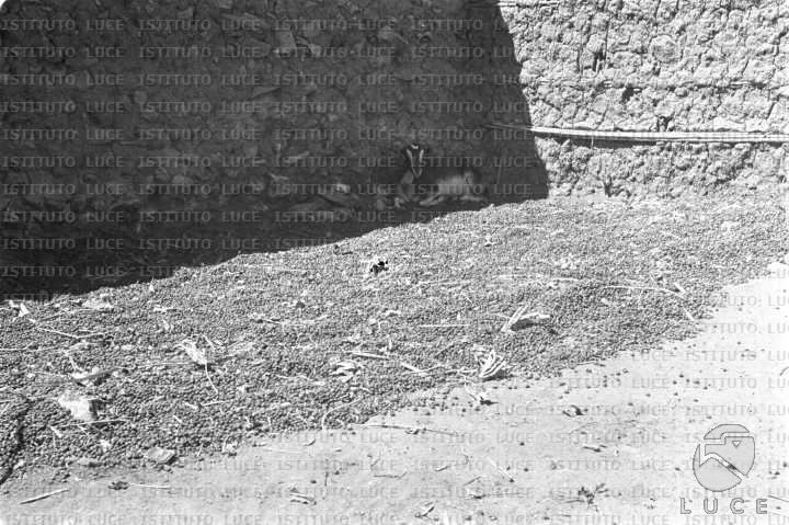 AO/AO063/AO00004202.JPG