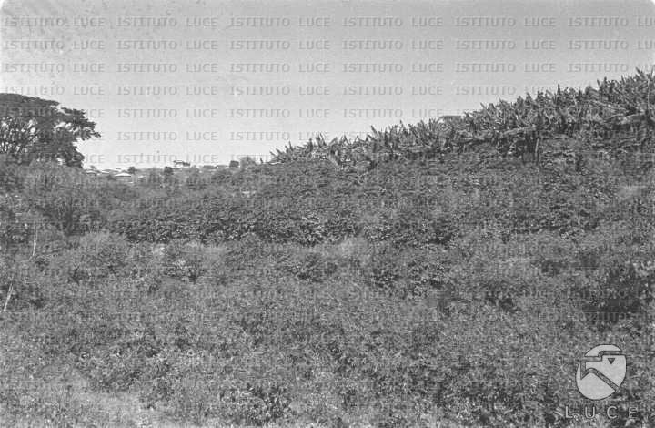 AO/AO063/AO00004204.JPG