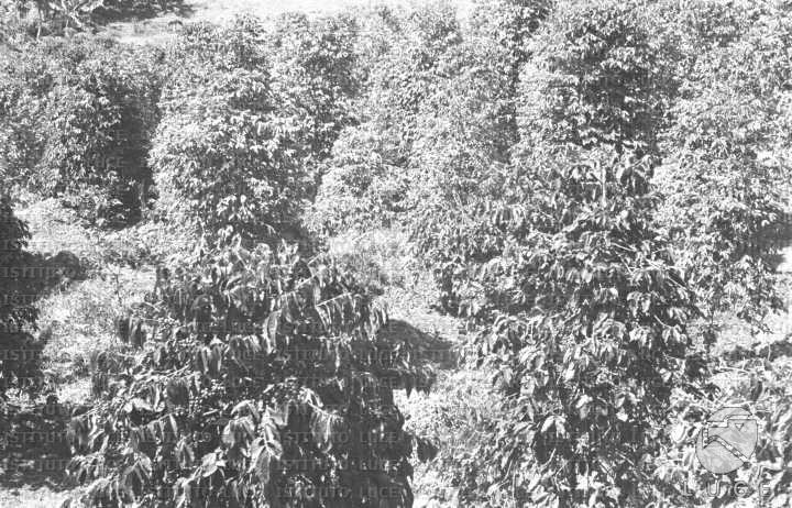 AO/AO063/AO00004211.JPG