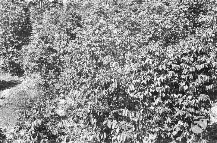 AO/AO063/AO00004212.JPG