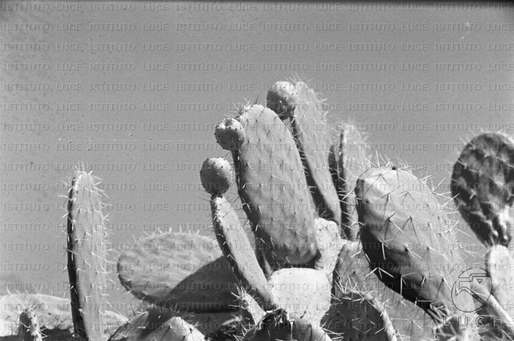 AO/AO063/AO00004213.JPG