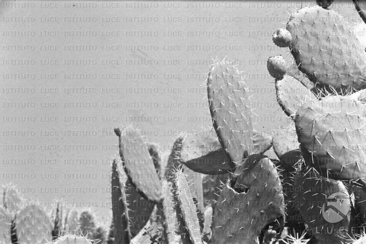 AO/AO063/AO00004214.JPG