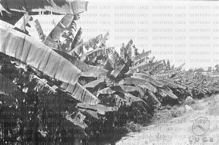 AO/AO063/AO00004216.JPG