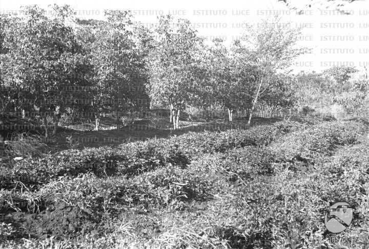 AO/AO063/AO00004230.JPG