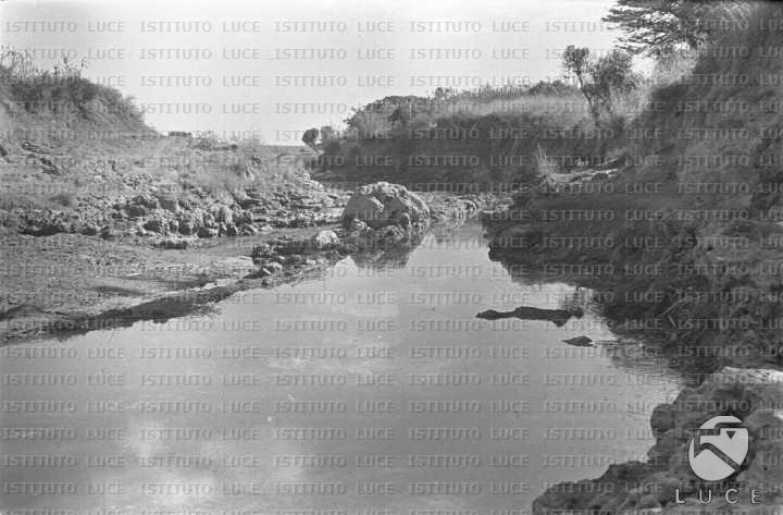 AO/AO063/AO00004231.JPG