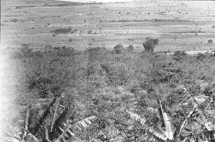 AO/AO063/AO00004233.JPG