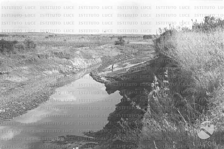 AO/AO063/AO00004235.JPG