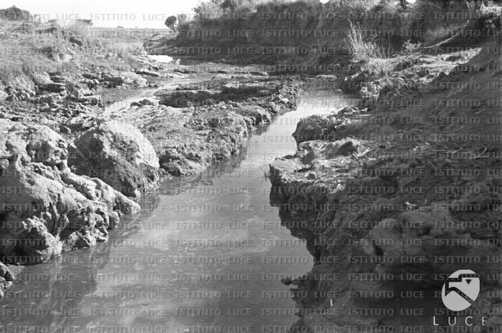 AO/AO063/AO00004236.JPG