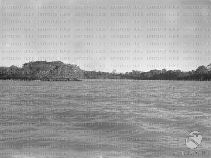 AO/AO064/AO00004302.JPG