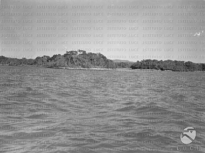 AO/AO064/AO00004304.JPG