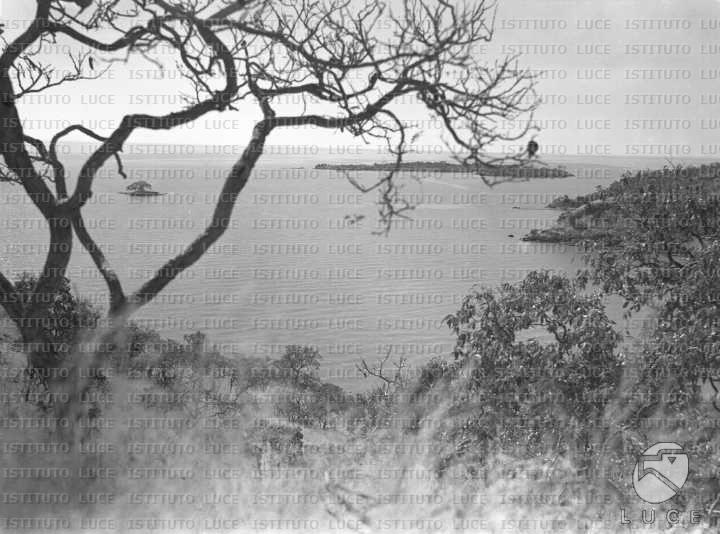 AO/AO064/AO00004318.JPG