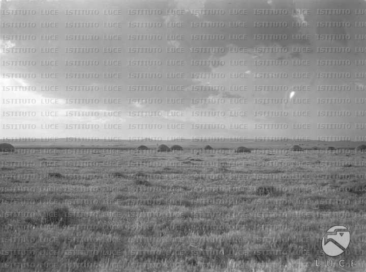 AO/AO064/AO00004320.JPG