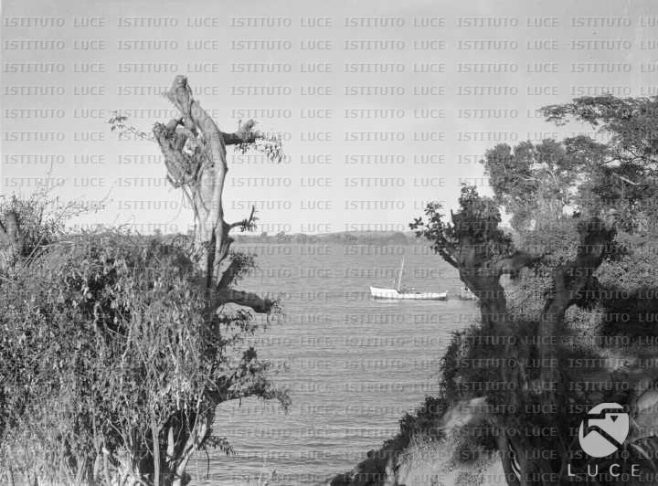 AO/AO064/AO00004321.JPG