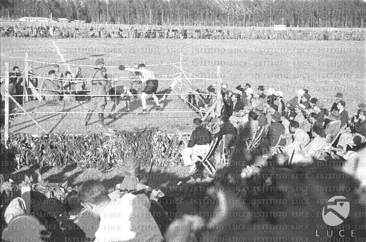 AO/AO076/AO00005118.JPG