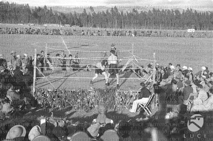 AO/AO076/AO00005129.JPG