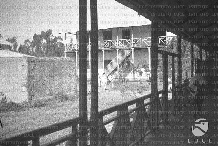 AO/AO077/AO00005148.JPG