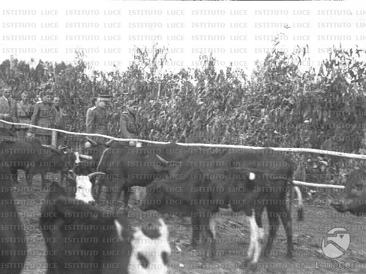 AO/AO077/AO00005155.JPG