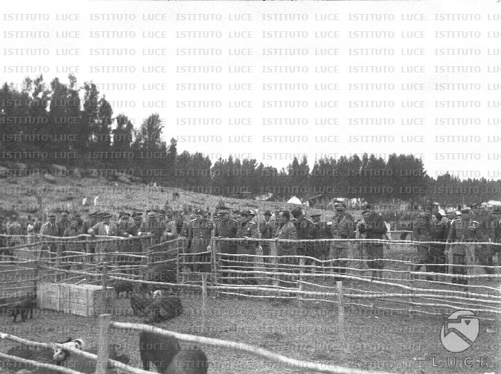 AO/AO077/AO00005157.JPG
