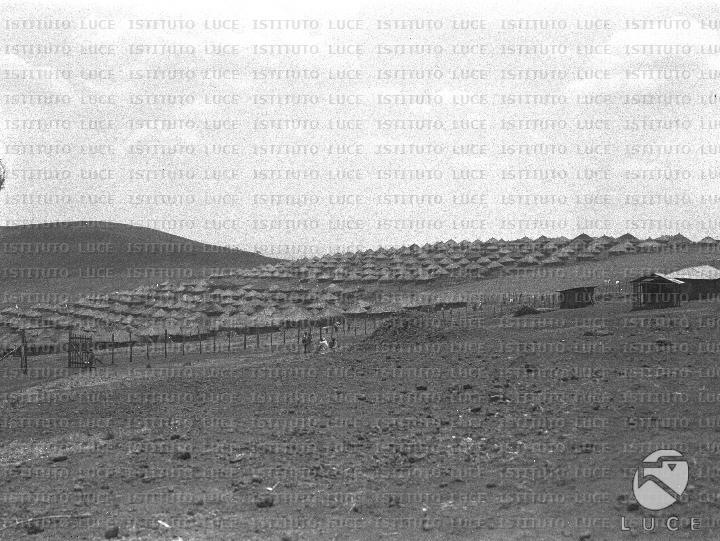 AO/AO077/AO00005170.JPG