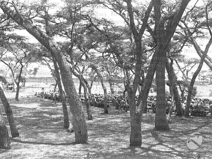 AO/AO080/AO00005354.JPG