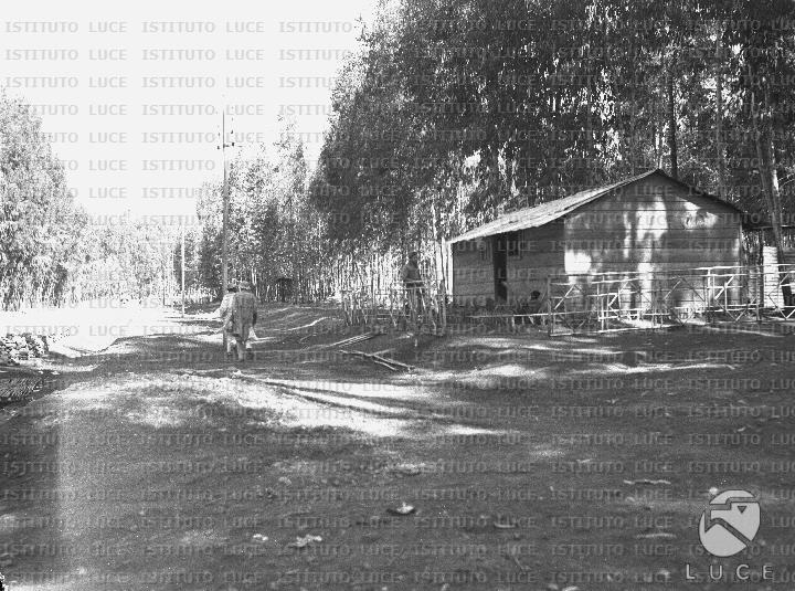 AO/AO080/AO00005364.JPG