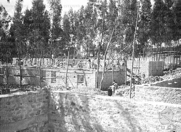 AO/AO080/AO00005366.JPG