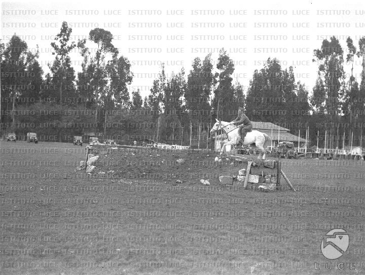 AO/AO081/AO00005416.JPG