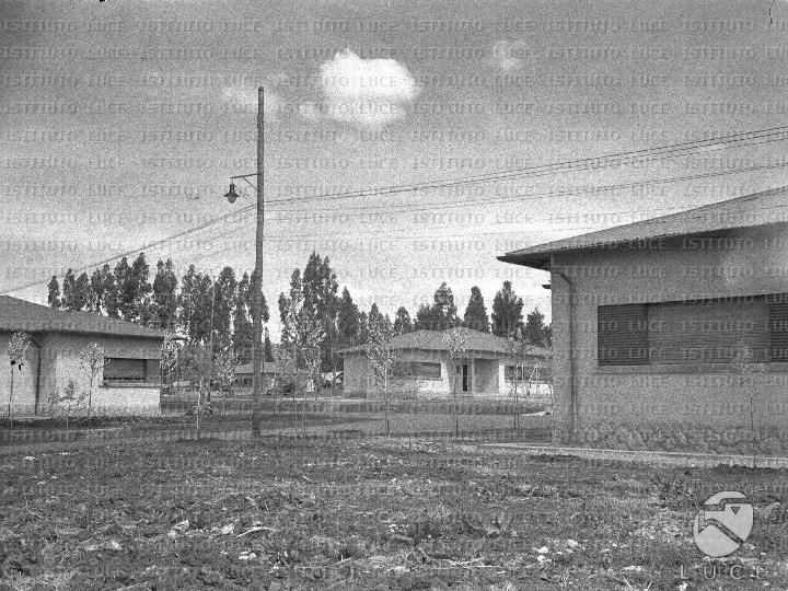 AO/AO082/AO00005533.JPG
