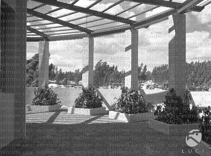 AO/AO083/AO00005552.JPG