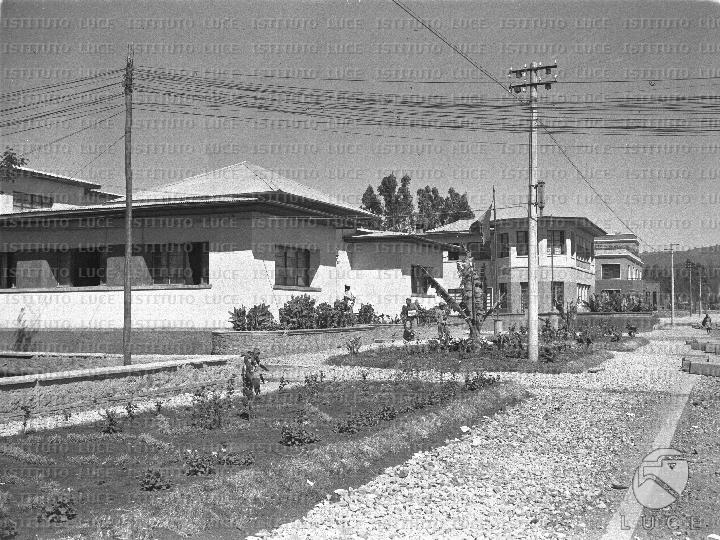 AO/AO083/AO00005555.JPG