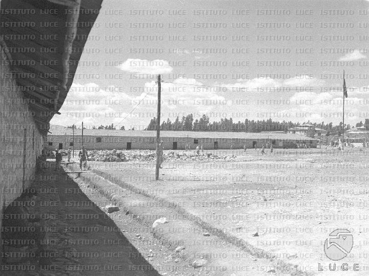 AO/AO084/AO00005646.JPG