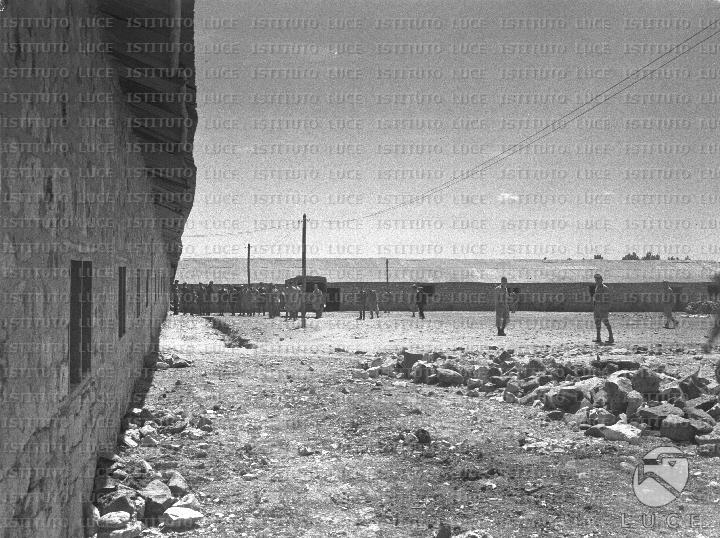 AO/AO084/AO00005647.JPG