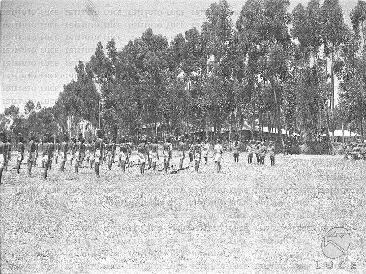 AO/AO087/AO00005879.JPG
