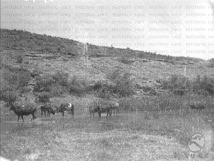 AO/AO089/AO00005967.JPG