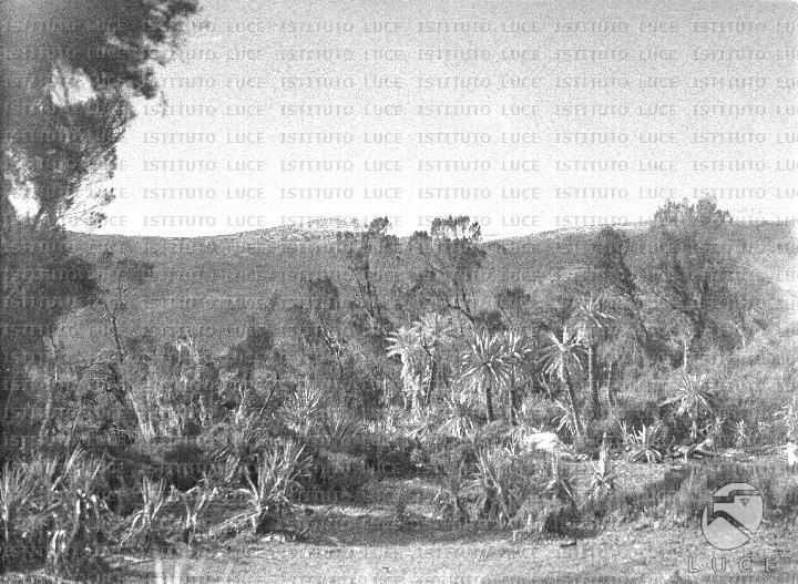 AO/AO089/AO00005968.JPG