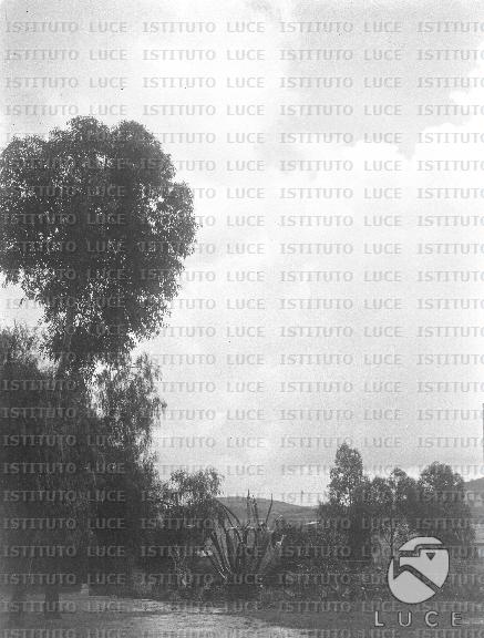 AO/AO093/AO00006270.JPG