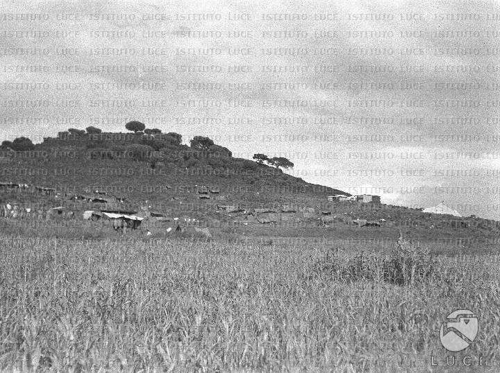 AO/AO094/AO00006302.JPG