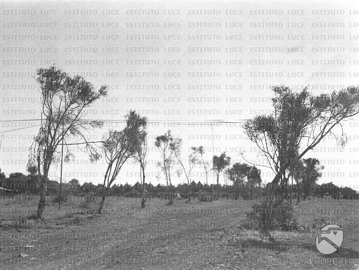 AO/AO094/AO00006303.JPG