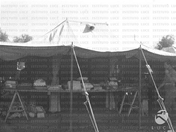 AO/AO094/AO00006306.JPG