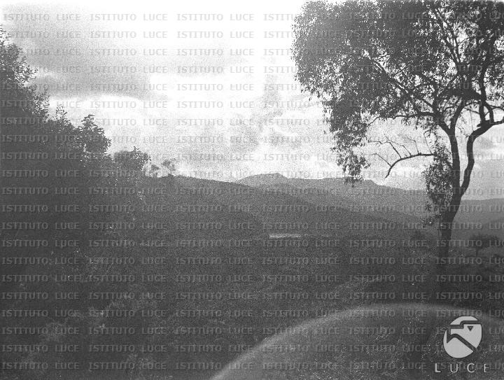 AO/AO094/AO00006316.JPG