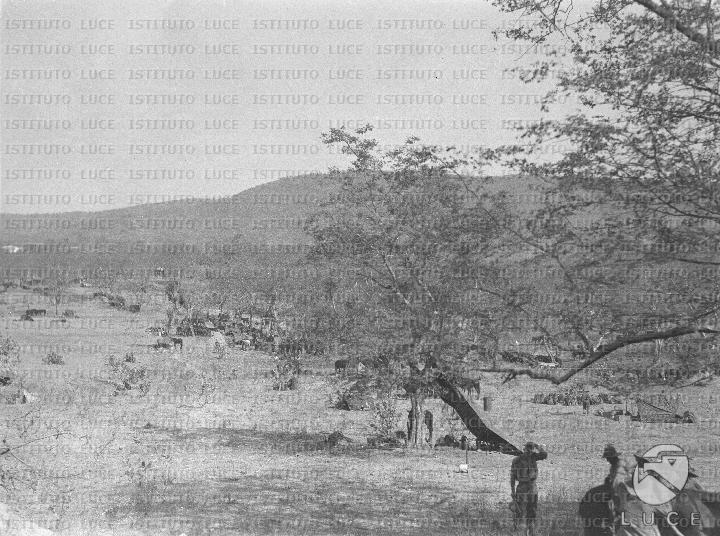 AO/AO094/AO00006334.JPG