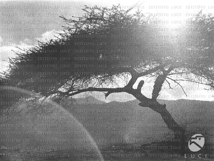 AO/AO094/AO00006342.JPG