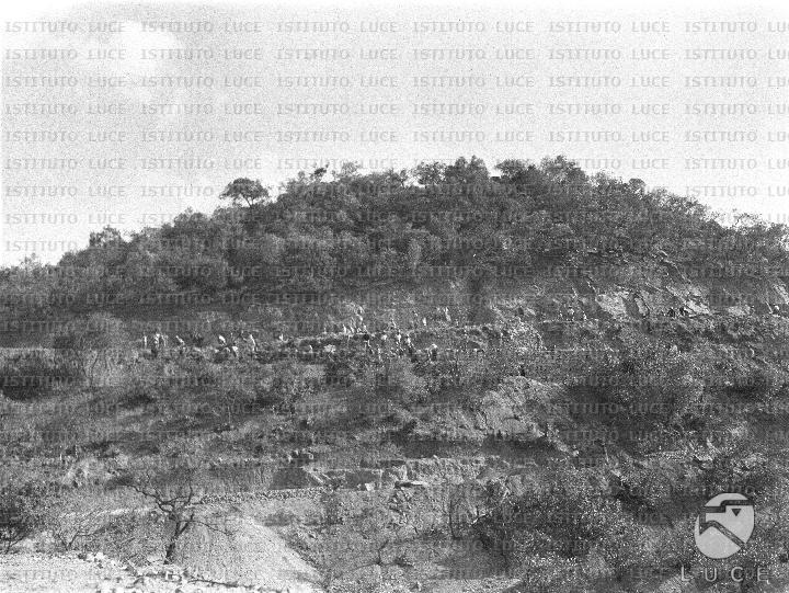 AO/AO094/AO00006356.JPG