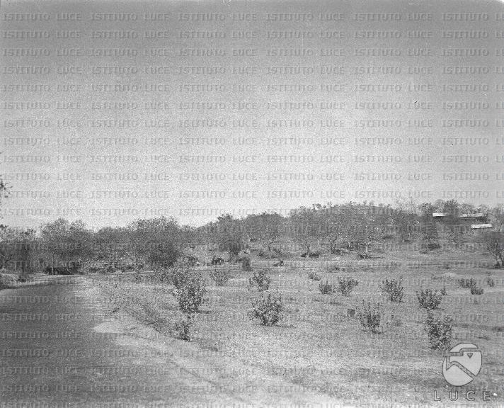 AO/AO095/AO00006375.JPG