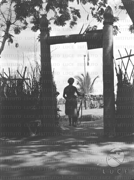 AO/AO096/AO00006486.JPG