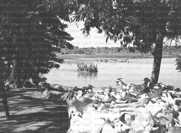 AO/AO096/AO00006489.JPG