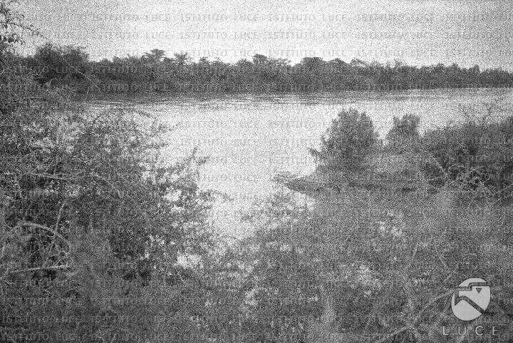AO/AO098/AO00006585.JPG