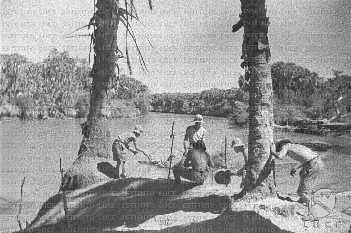 AO/AO099/AO00006646.JPG